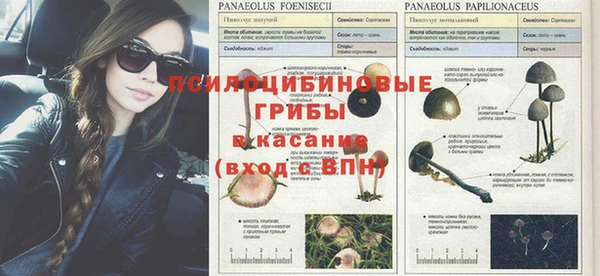 соль ск Горняк
