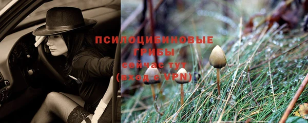 бошки Вязники