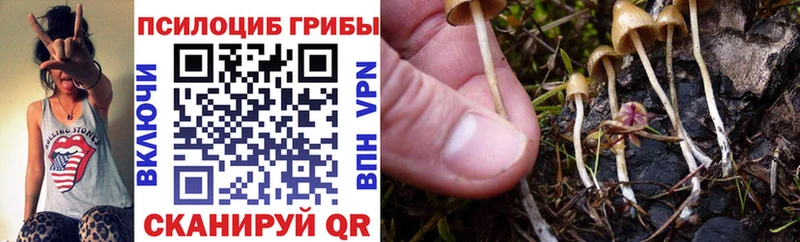 Псилоцибиновые грибы Cubensis Киренск